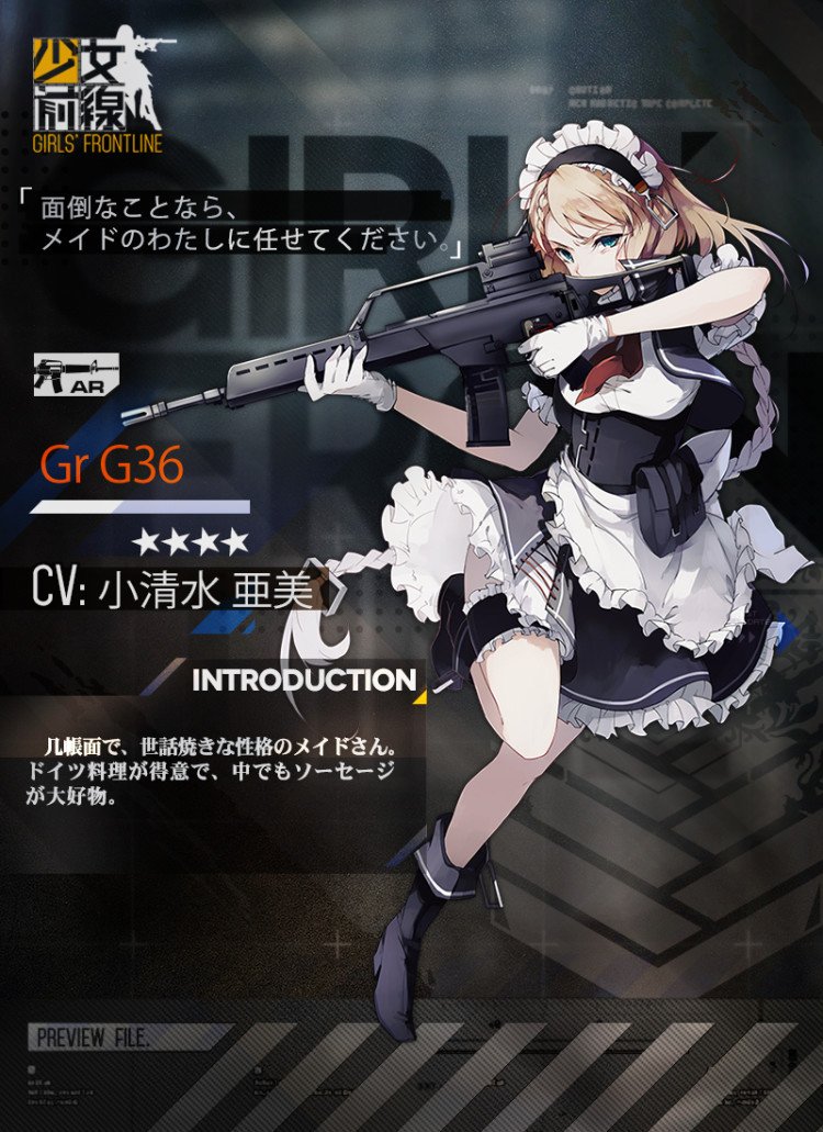 Gr G36仮.jpg